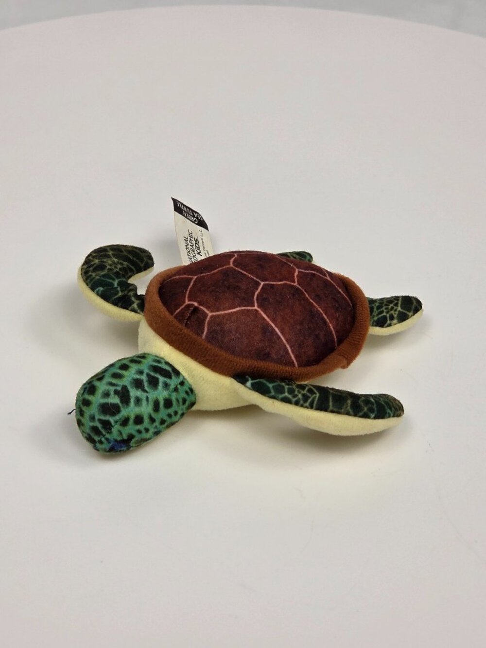National Geographic Kids Mini Green Sea Turtle Plush Stuffed Animal Toy 5”